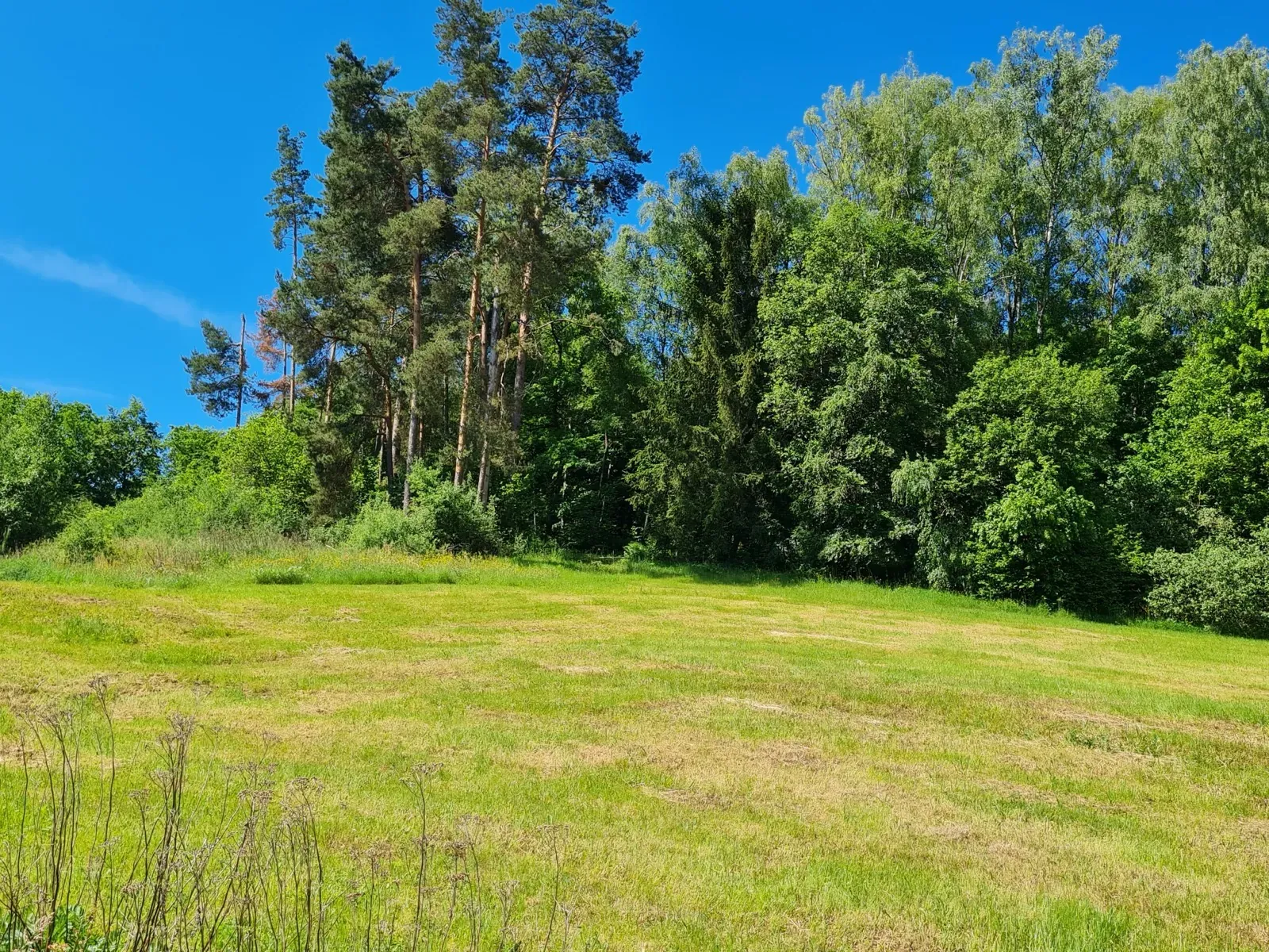 Zweitwohnsitz in Bayern: Anmeldung, Zweitwohnungssteuer und Pflichten